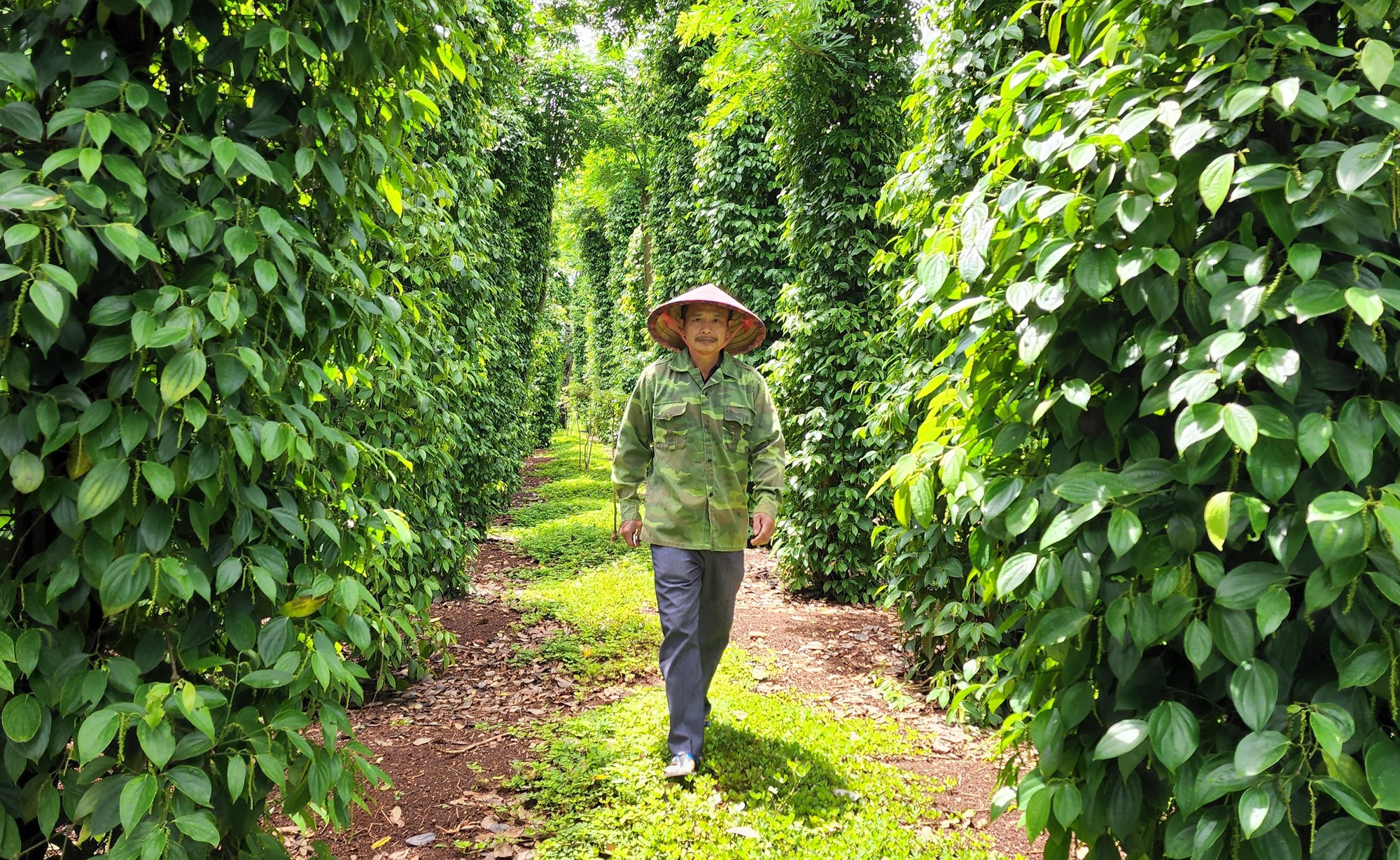 Tỉnh Đắk Lắk chỉ đạo giải quyết vụ doanh nghiệp chây ì giải quyết chế độ
