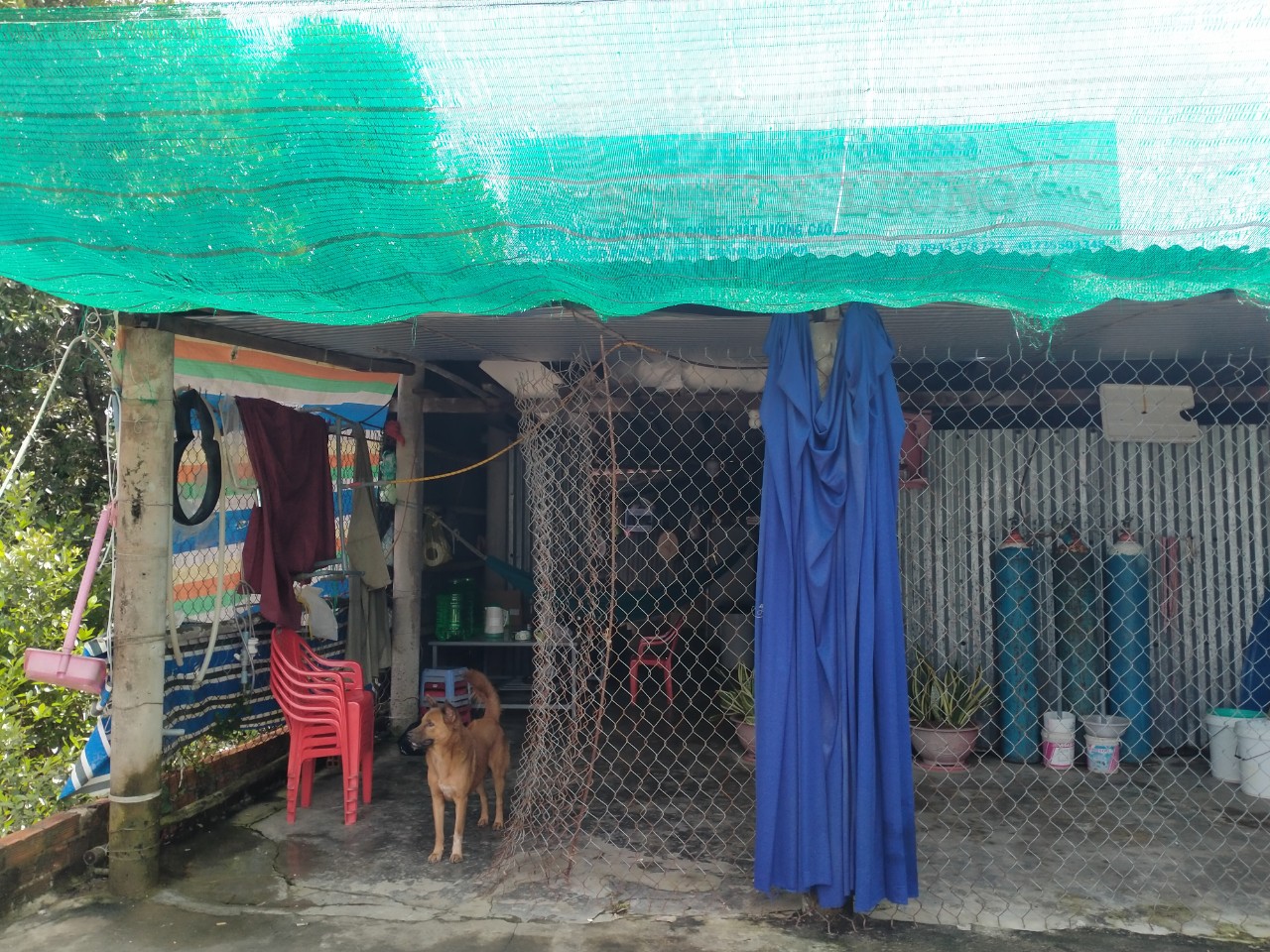 Trở lại “địa ngục trần gian” của cậu bé Hào Anh - Ảnh 2.