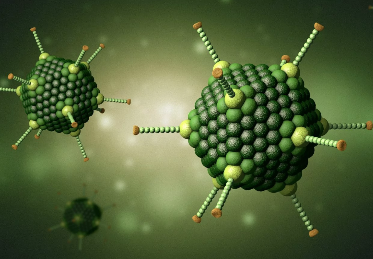 Số ca nhiễm virus Adeno tăng bất thường, 6 trẻ em tử vong