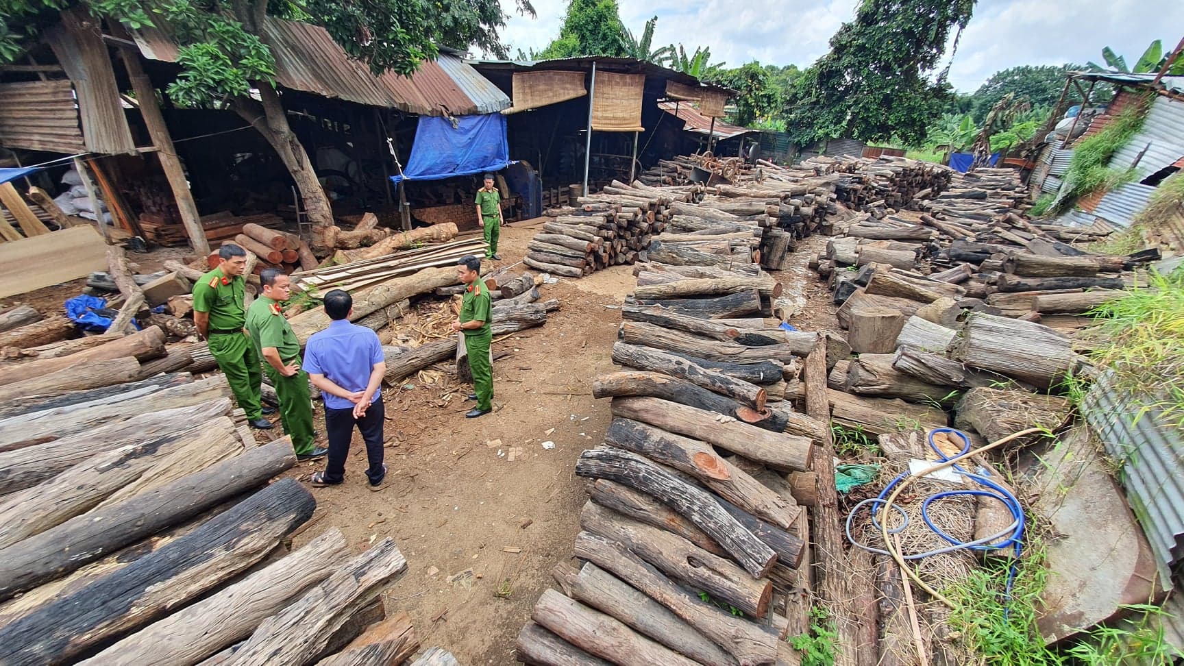 Ngỡ ngàng với những phát hiện tại Công ty Phương Tây Nguyên