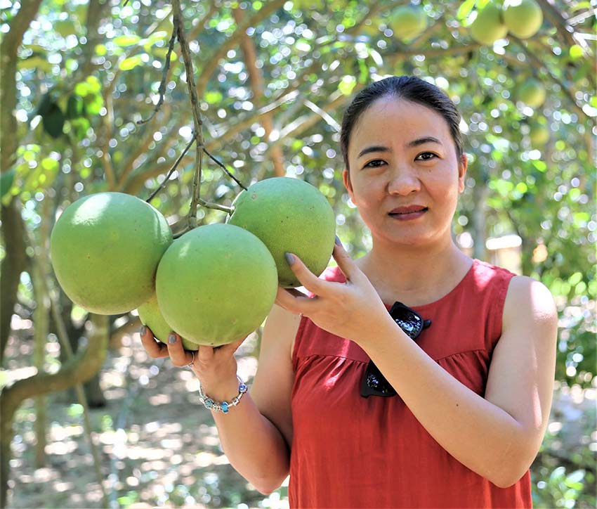Để bưởi thanh trà đi xa