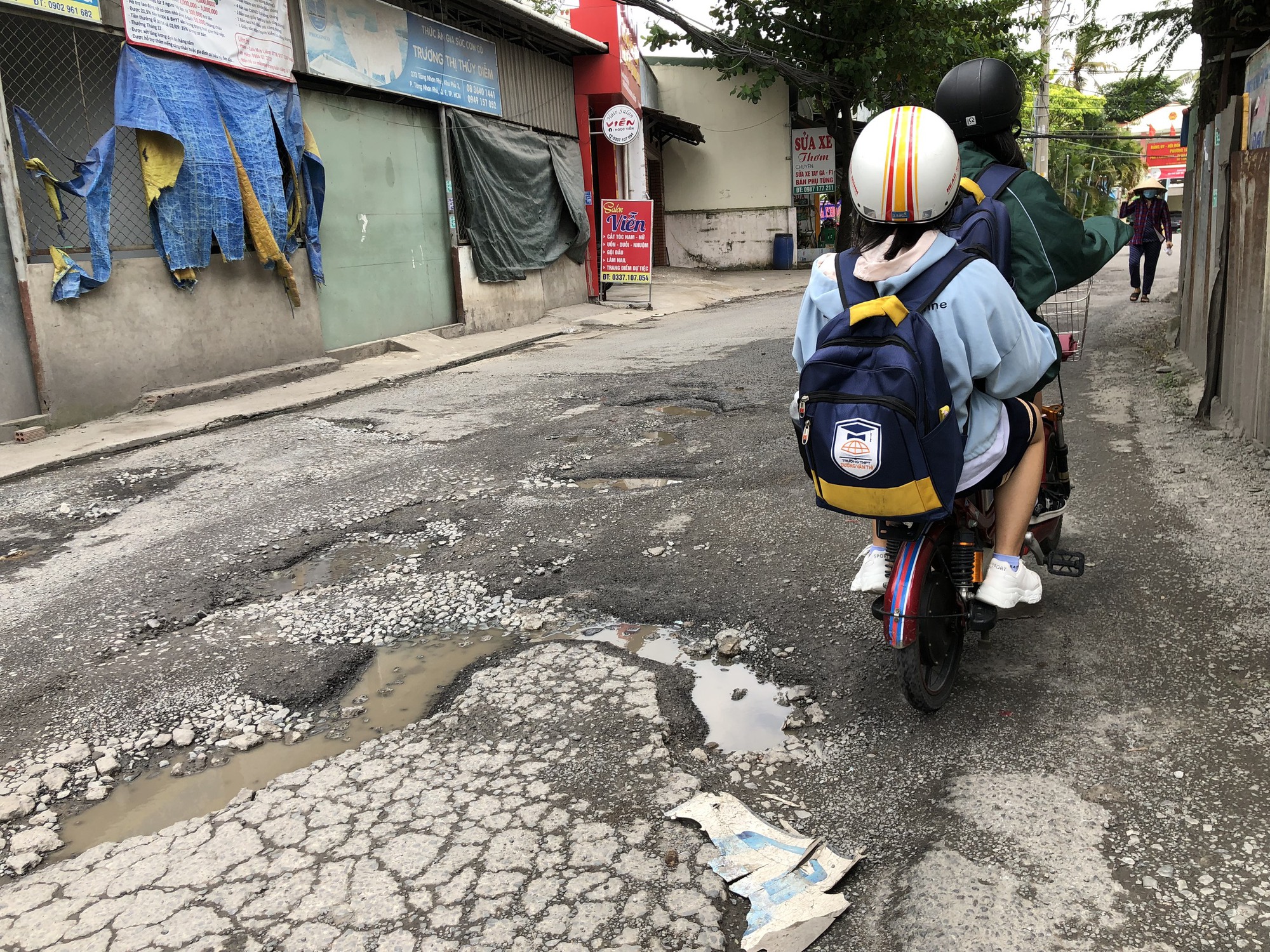TP HCM: Nhiều "tổ ong" lớn xuất hiện sau mưa
