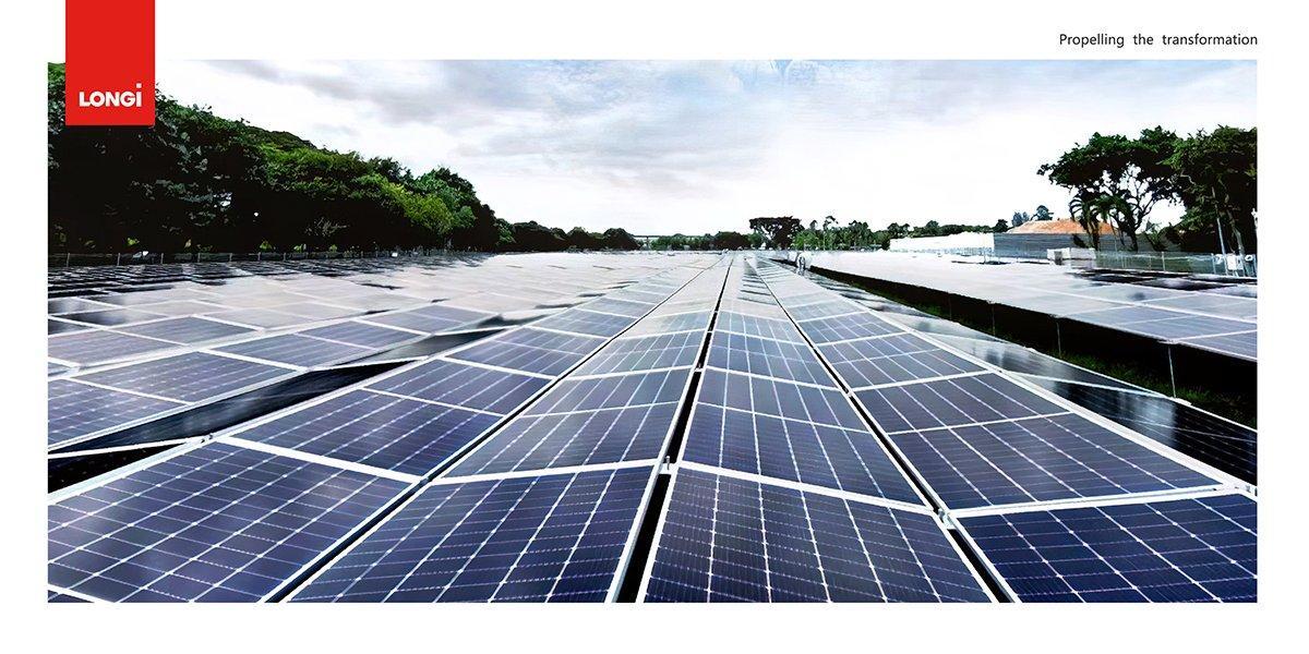 Doanh thu của LONGi tăng gần 44% - Ảnh 1.