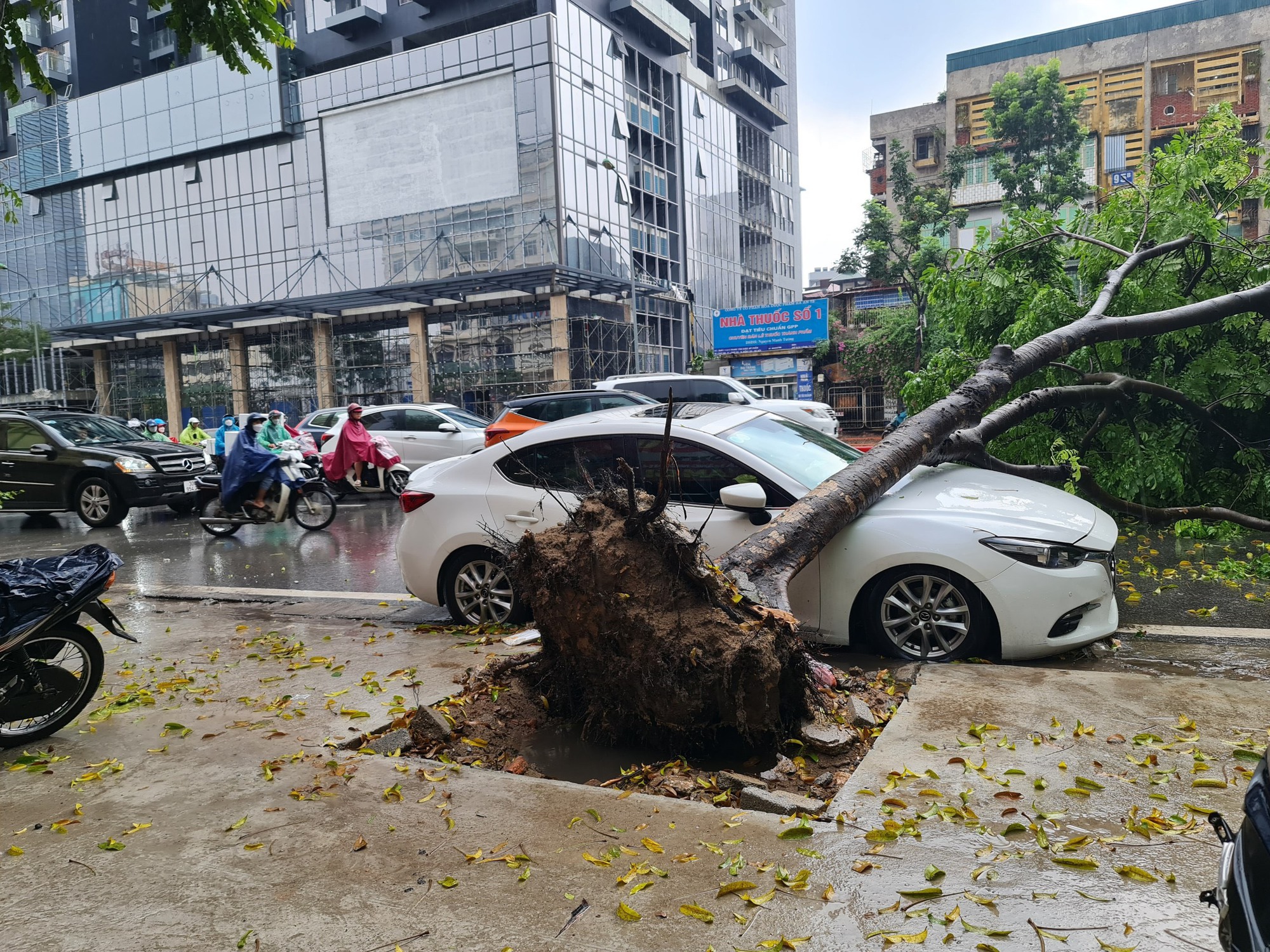 Nhiều tuyến phố ngập sâu, xế hộp bị cây bật gốc đè trúng trong cơn mưa lớn