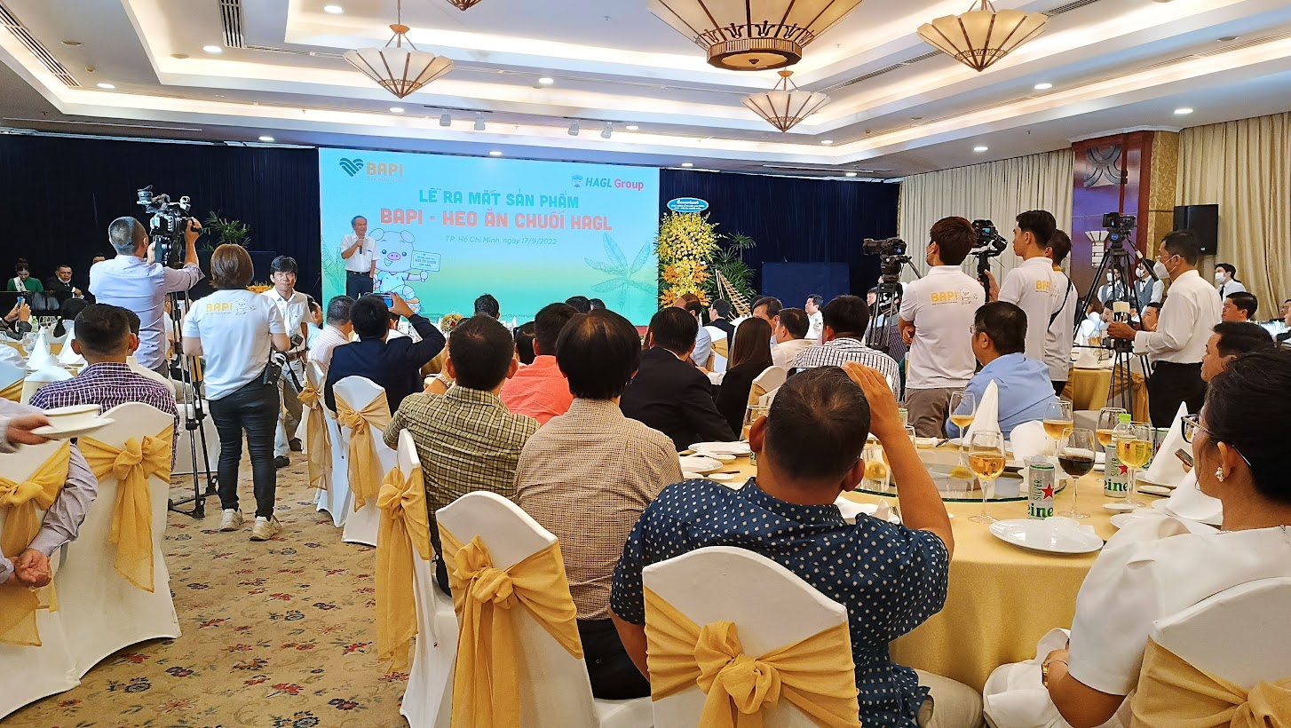 Heo ăn chuối c&oacute; phải l&agrave; ph&aacute;t hiện mới của Ho&agrave;ng Anh Gia Lai v&agrave; bầu Đức? - Ảnh 1.