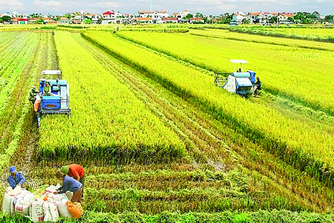 Cho nông dân thấy cái lợi