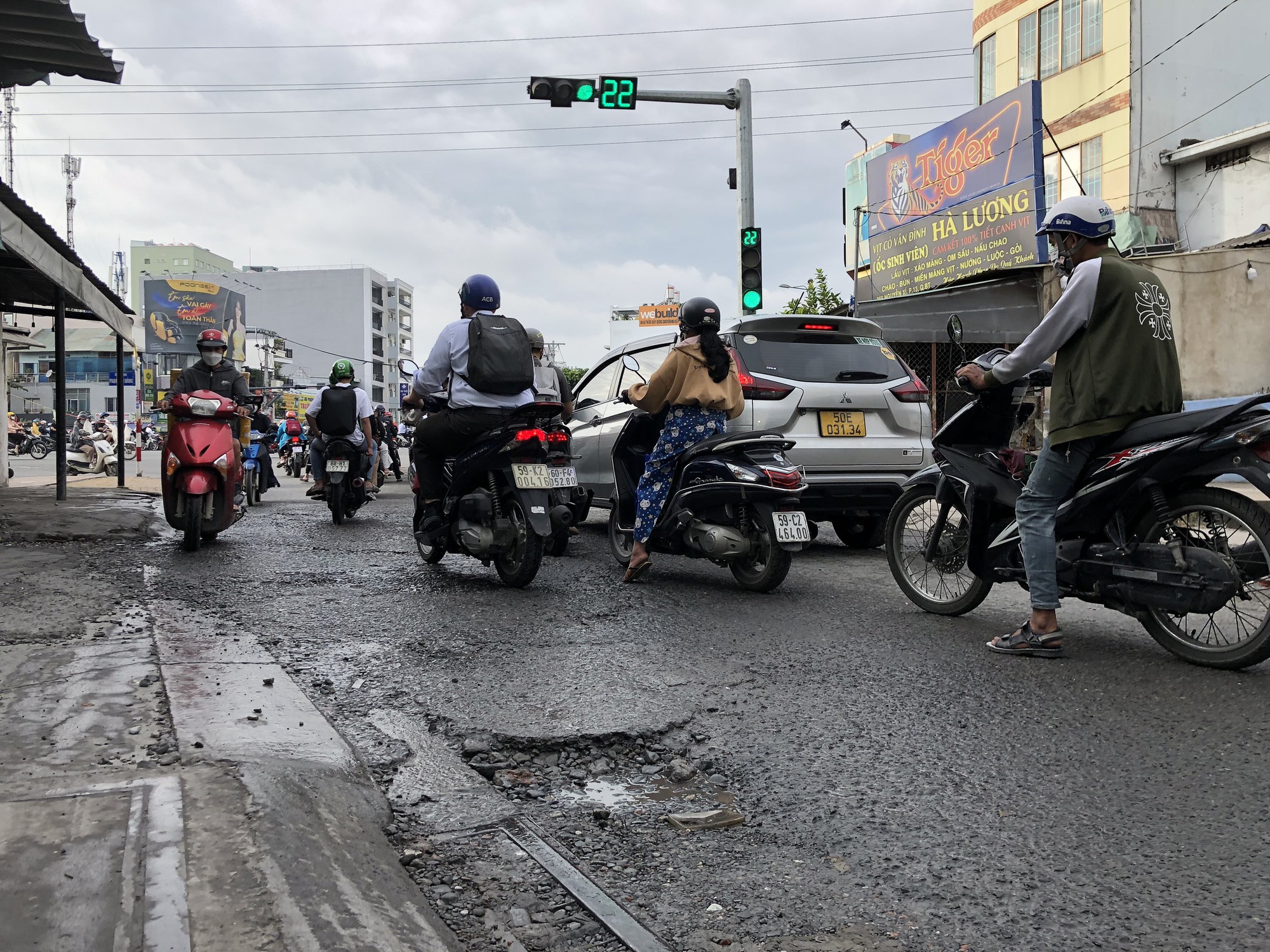 TP HCM: Nhiều tổ ong lớn xuất hiện sau mưa - Ảnh 9.