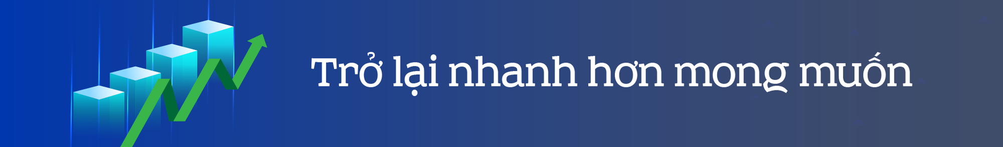 TP HCM: Dấu ấn sáng tạo, vượt khó - Ảnh 1.
