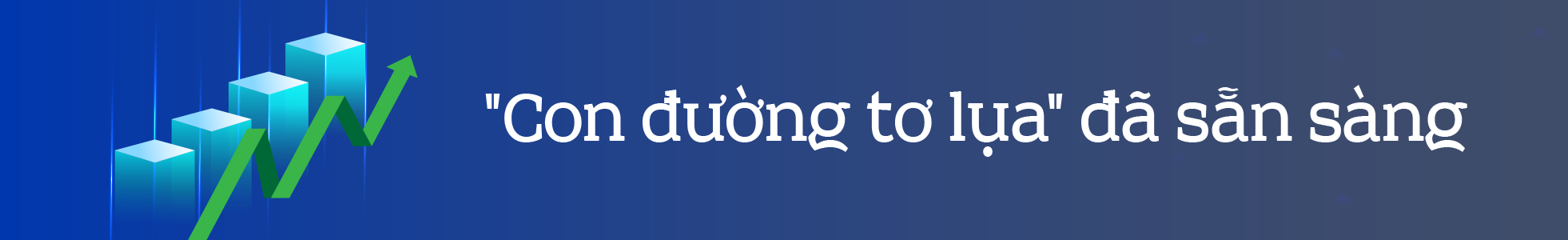 TP HCM: Dấu ấn sáng tạo, vượt khó - Ảnh 13.