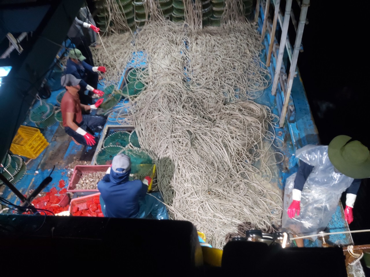 Rập ốc hương trên biển, thu tiền triệu mỗi đêm