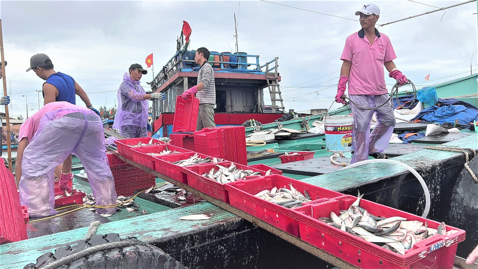Quảng Nam, Đ&agrave; Nẵng, Thừa Thi&ecirc;n - Huế... hối hả ứng ph&oacute; b&atilde;o Noru - Ảnh 6.