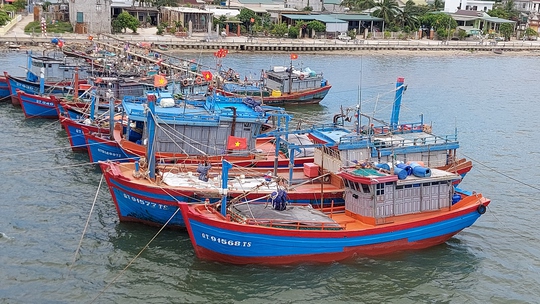 Quảng Nam, Đ&agrave; Nẵng, Thừa Thi&ecirc;n - Huế... hối hả ứng ph&oacute; b&atilde;o Noru - Ảnh 31.