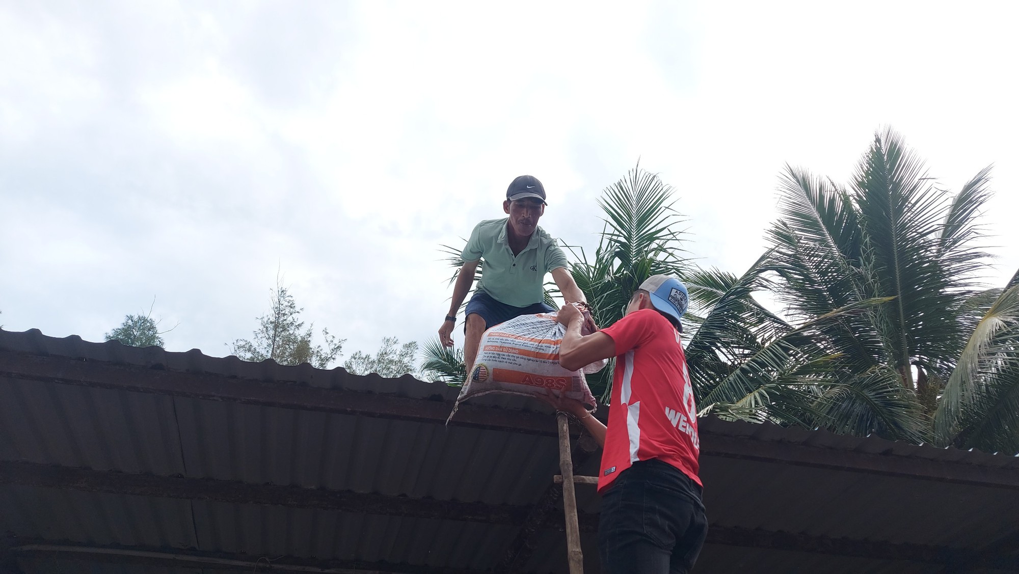 Quảng Nam dự kiến sơ t&aacute;n hơn 400.000 người tr&aacute;nh si&ecirc;u b&atilde;o - Ảnh 2.