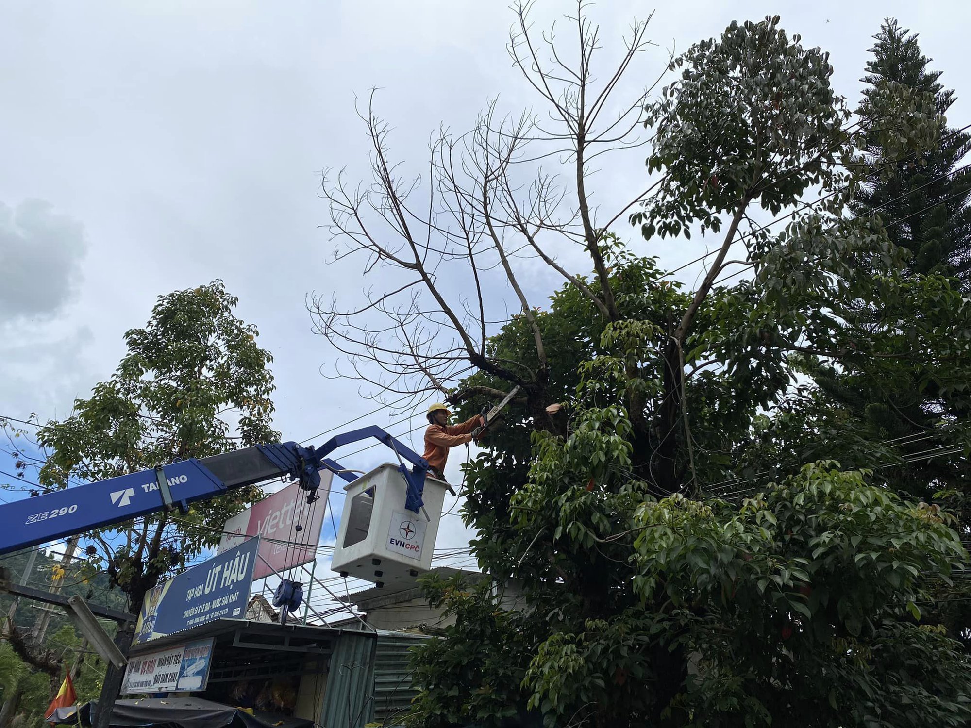 Tổng công ty Điện lực miền Trung tập trung toàn lực, khẩn trương ứng phó bão Noru - Ảnh 3.