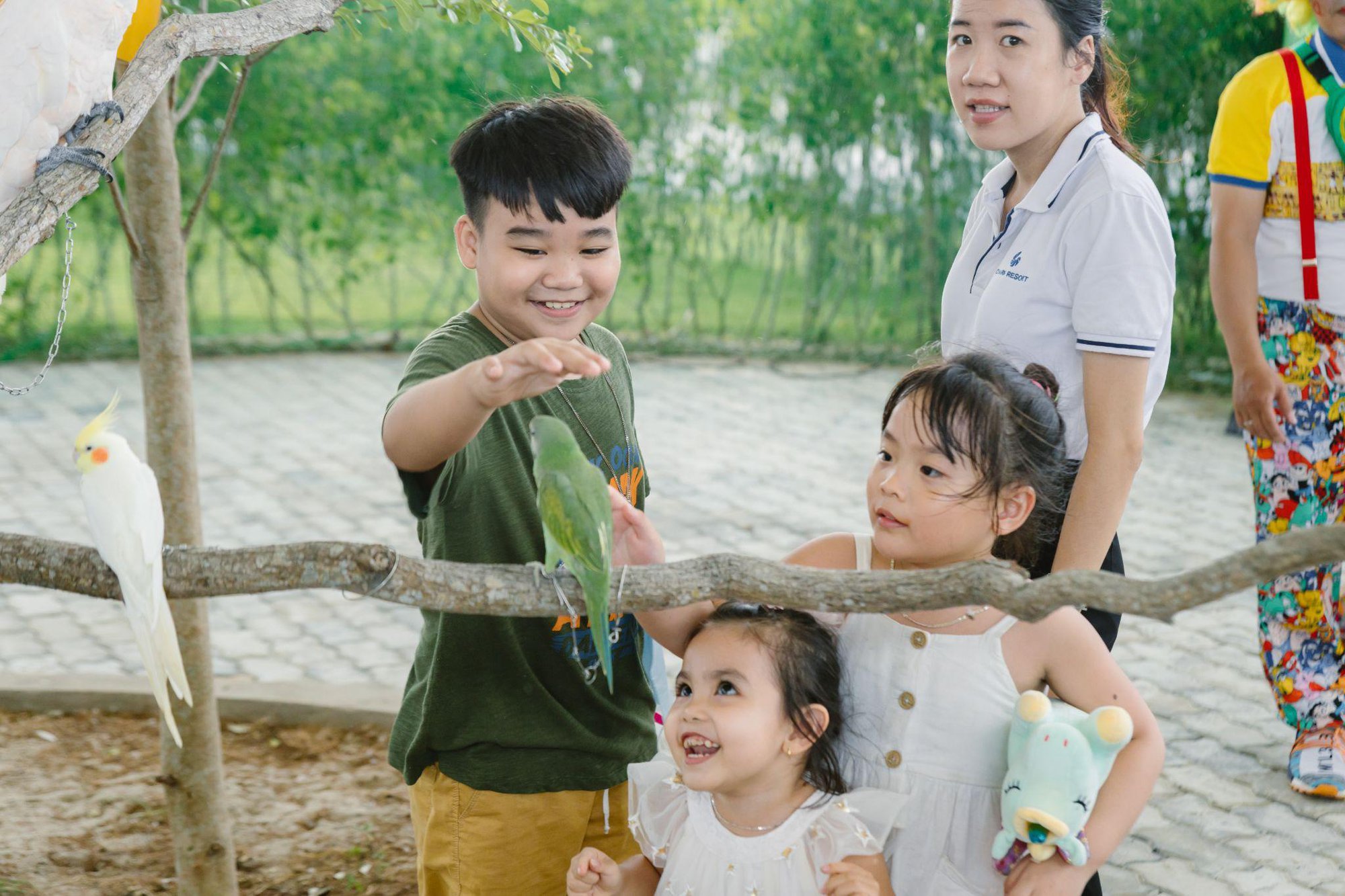 Cuối tuần đưa trẻ đến Charm Resort Hồ Tr&agrave;m học lớp kỹ năng mềm miễn ph&iacute; - Ảnh 3.
