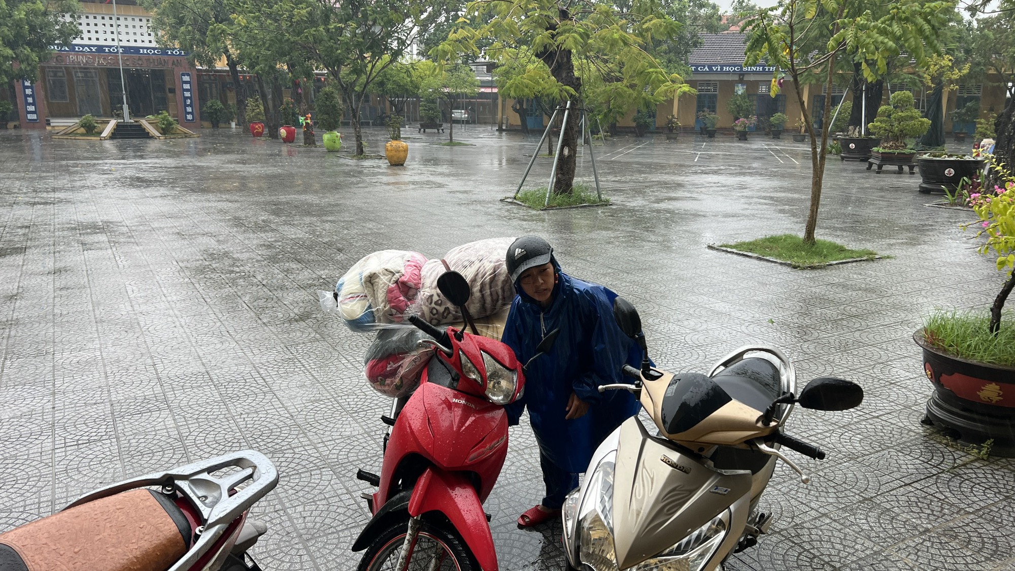 undefined - Ảnh 12.
