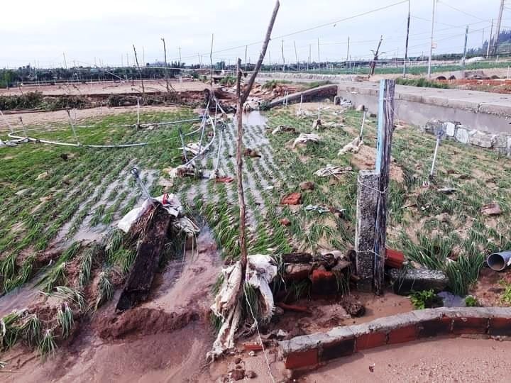 Bão số 4 (Noru): Nhiều người thoát chết trong gang tấc - Ảnh 6.