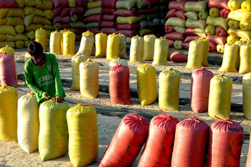 Cấp tín dụng cho nông dân bằng việc ký gửi lúa