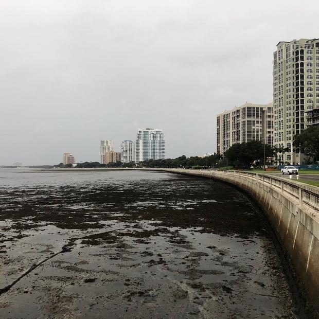 Chuyện kỳ lạ: B&atilde;o h&uacute;t cạn nước ở bờ biển Florida - Ảnh 1.