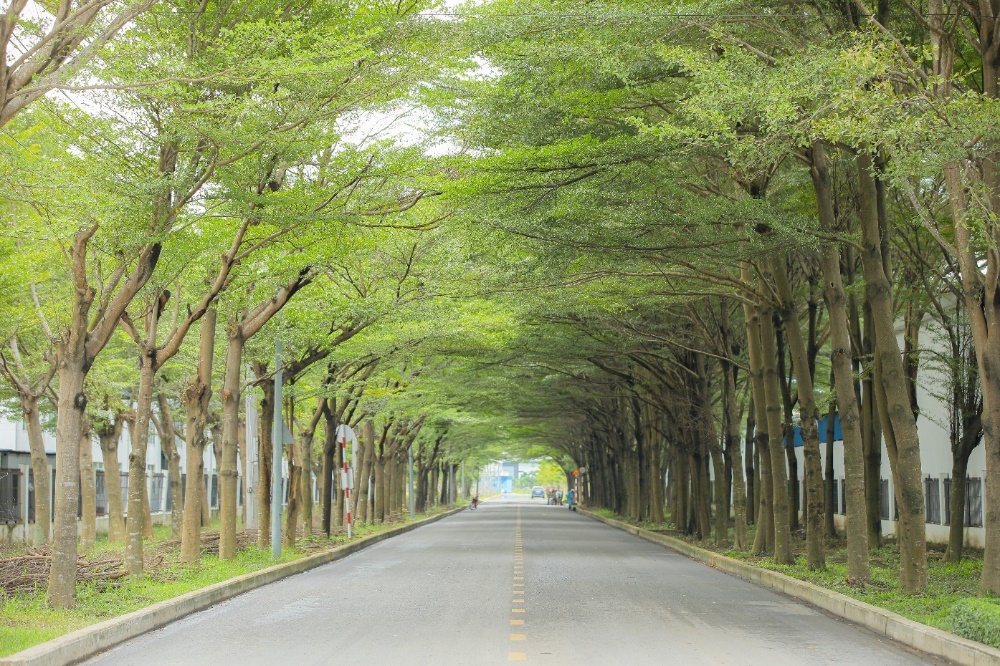 Khu công nghiệp Thành Thành Công: Xanh - Sạch - Bền vững