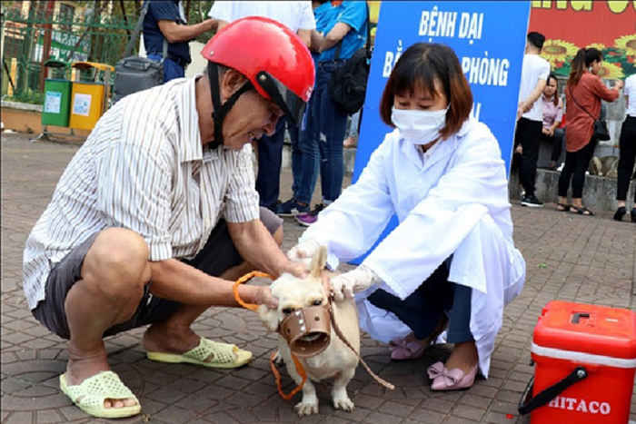 40 người tử vong, Bộ Y tế cảnh b&aacute;o nguy cơ bệnh dại b&ugrave;ng ph&aacute;t - Ảnh 2.