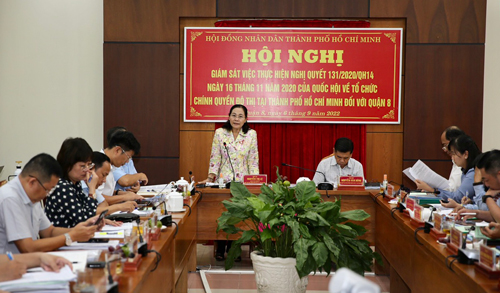 Thực hiện ch&iacute;nh quyền đ&ocirc; thị ở TP HCM: Chưa như mong đợi - Ảnh 1.