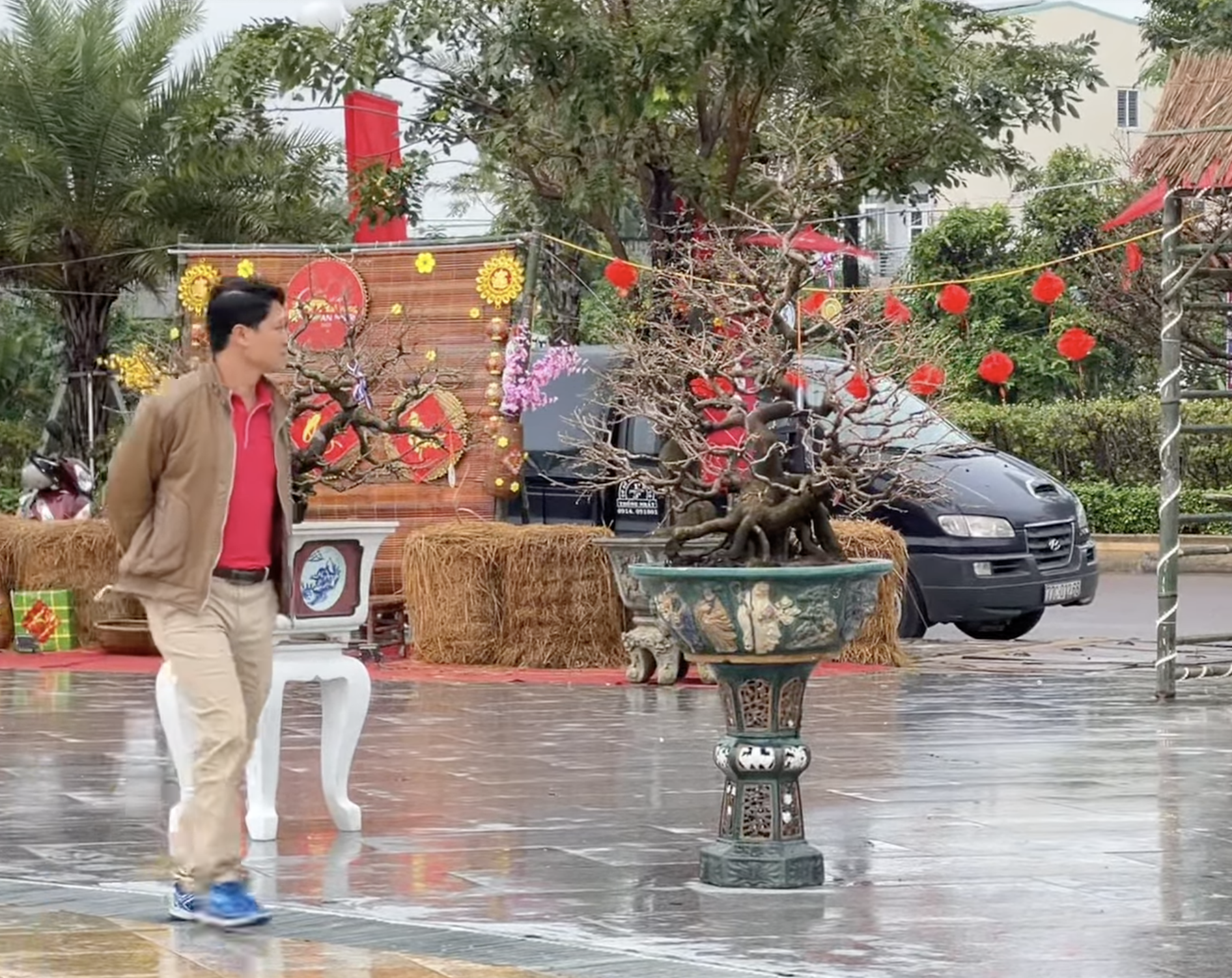 "Thủ phủ" mai vàng miền Trung lần đầu tổ chức Lễ hội Mai vàng