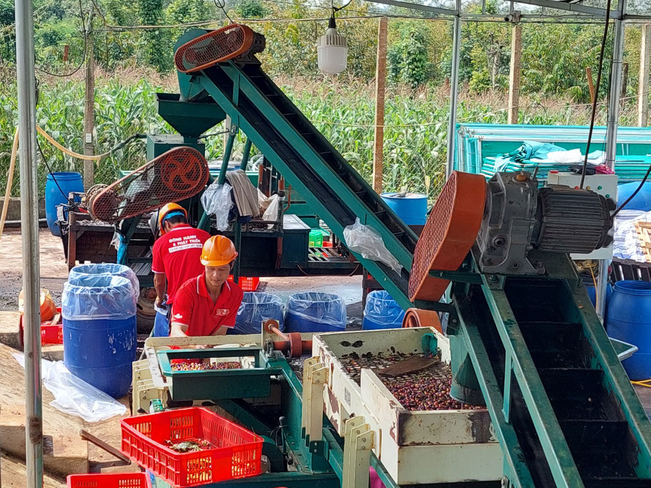 X&acirc;y dựng Th&agrave;nh phố c&agrave; ph&ecirc; của thế giới - Ảnh 1.