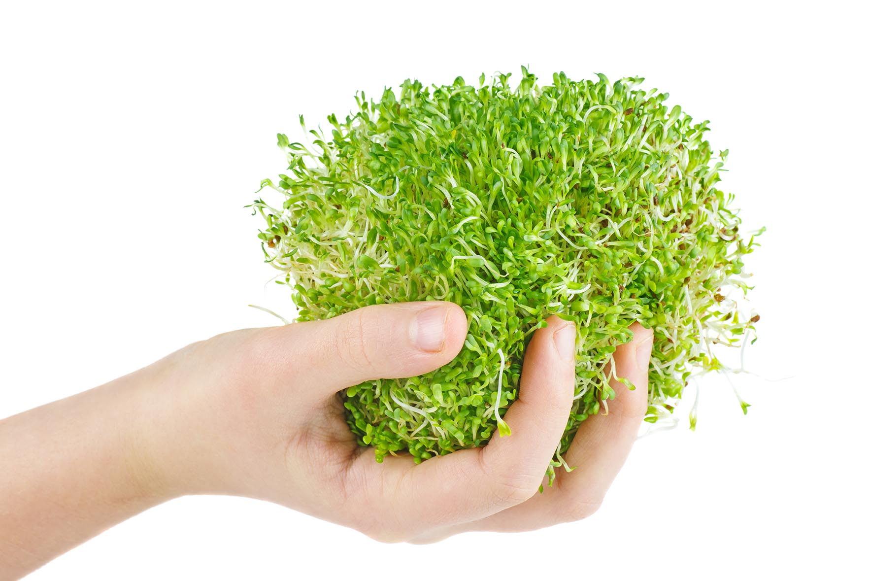 &ldquo;Ch&igrave;a kh&oacute;a&rdquo; mở c&aacute;nh cửa tương lai tr&ecirc;n sao Hỏa - Ảnh 2.