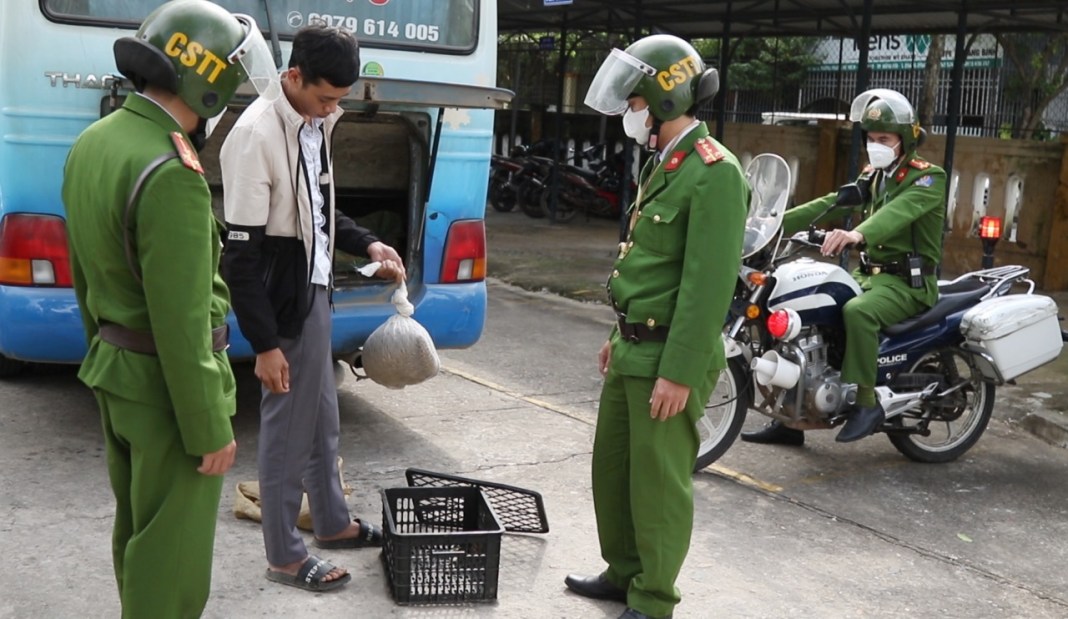 Thanh niên nhận cái kết đắng vì "gửi" Tê Tê xuống phố