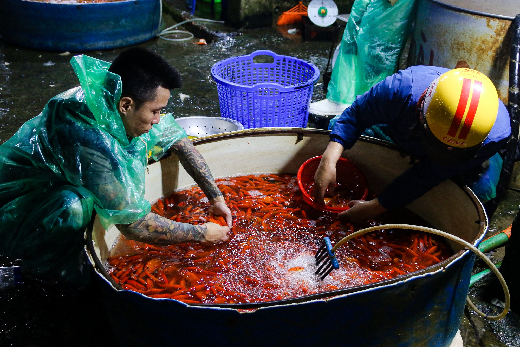 Chợ cá Yên Sở nhộn nhịp trước ngày ông Công - ông Táo