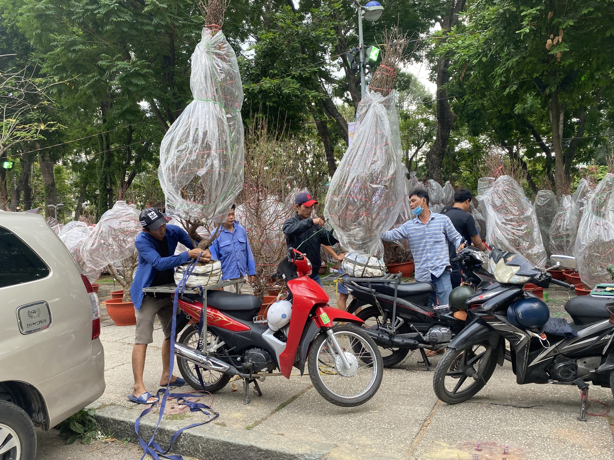 Người d&acirc;n TP HCM tấp nập mua hoa Tết sớm - Ảnh 15.