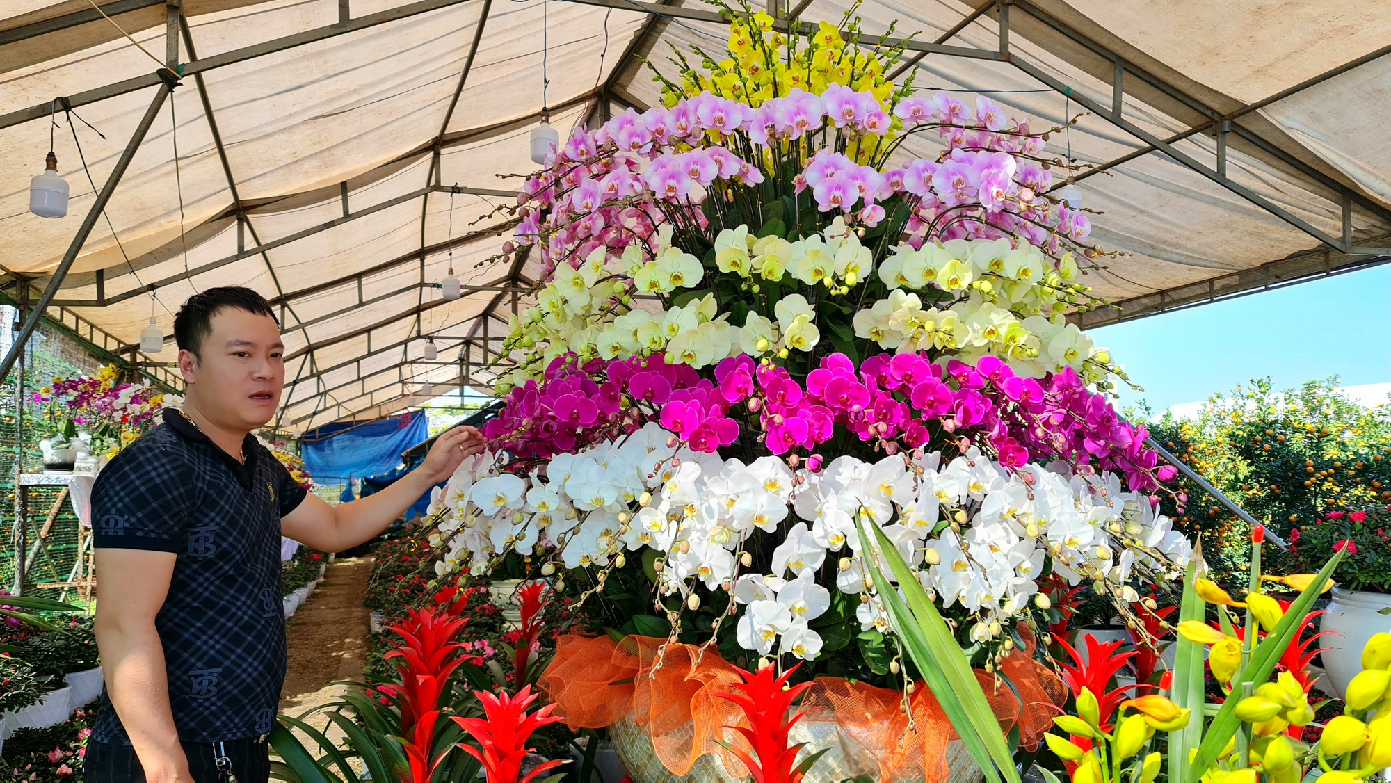 Ngắm cụ mai bạc tỉ, chủ vườn &ldquo;kh&ocirc;ng bớt 1 đồng&rdquo; - Ảnh 10.