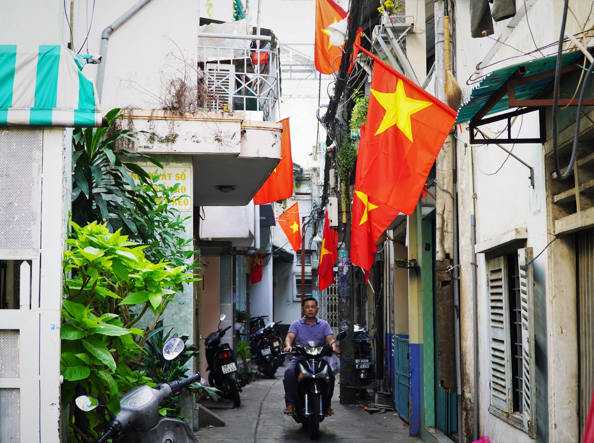 Ch&ugrave;m ảnh: Ng&agrave;y cuối tuần đặc biệt ở quận 4 - Ảnh 3.