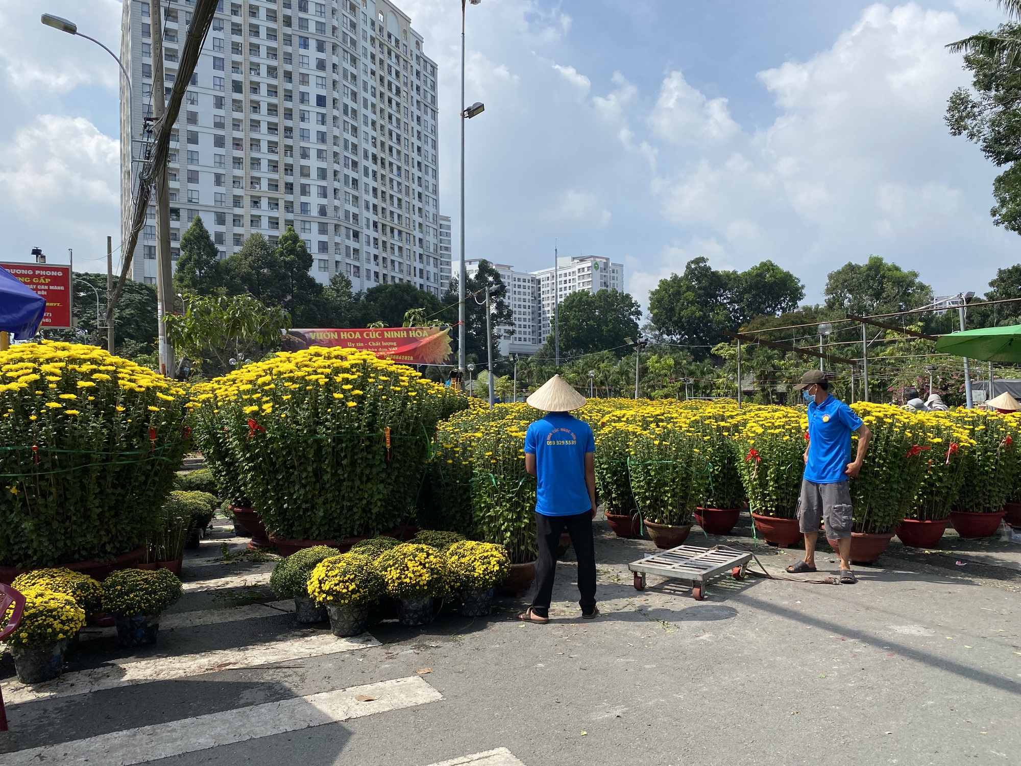 Người d&acirc;n TP HCM tấp nập mua hoa Tết sớm - Ảnh 1.