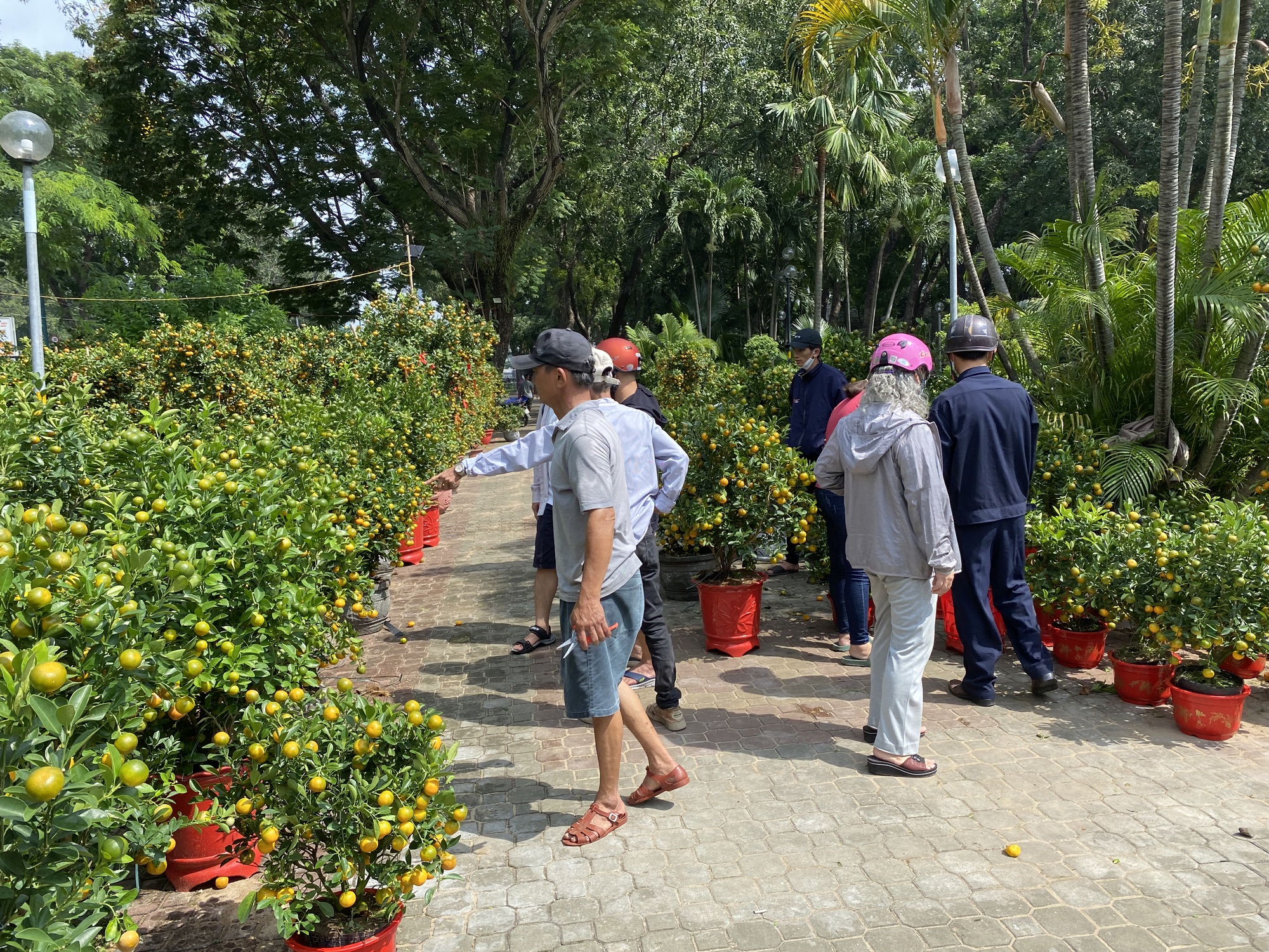 Người d&acirc;n TP HCM tấp nập mua hoa Tết sớm - Ảnh 4.