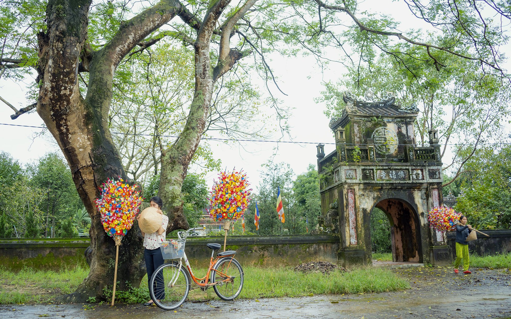Rộn r&agrave;ng hoa giấy Thanh Ti&ecirc;n - Ảnh 4.