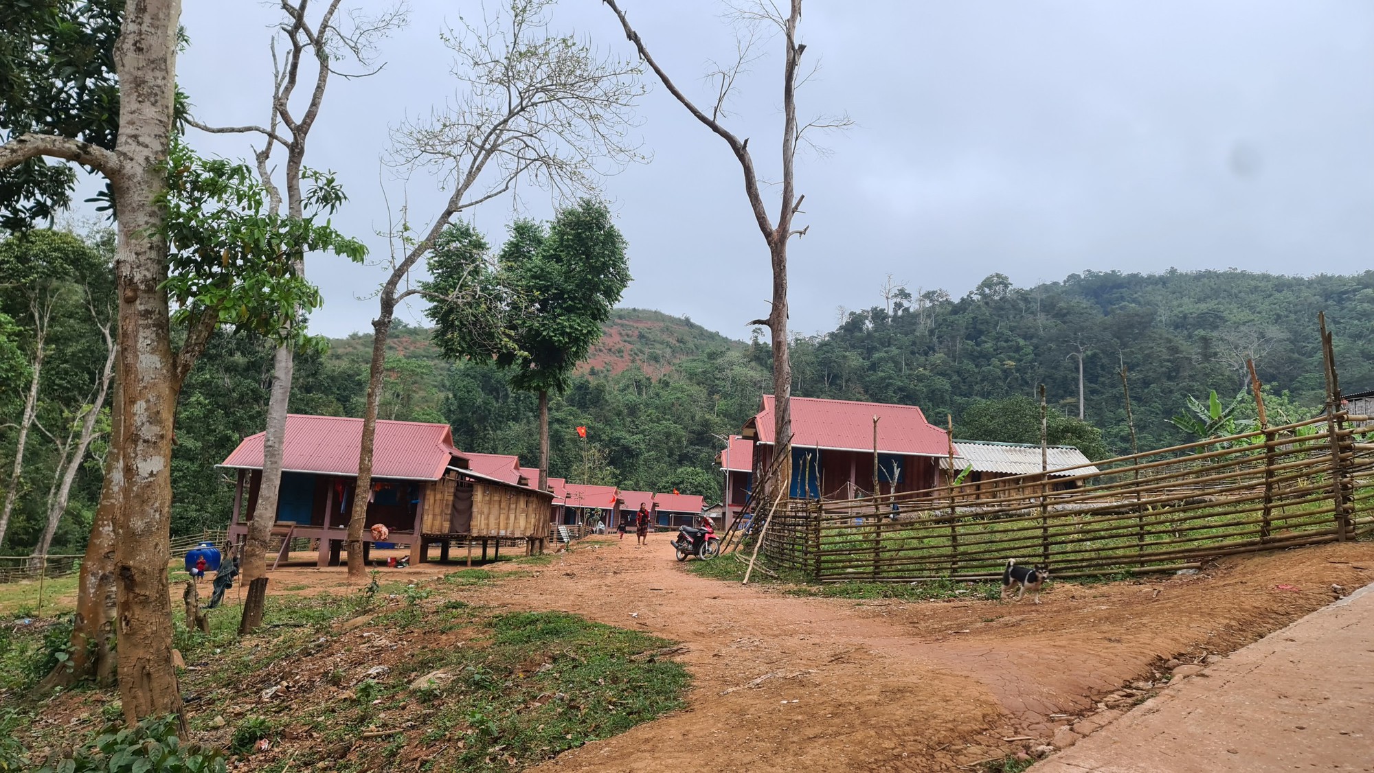 Tục ăn uống độc nhất v&ocirc; nhị của người Ma Coong ở Quảng B&igrave;nh - Ảnh 3.