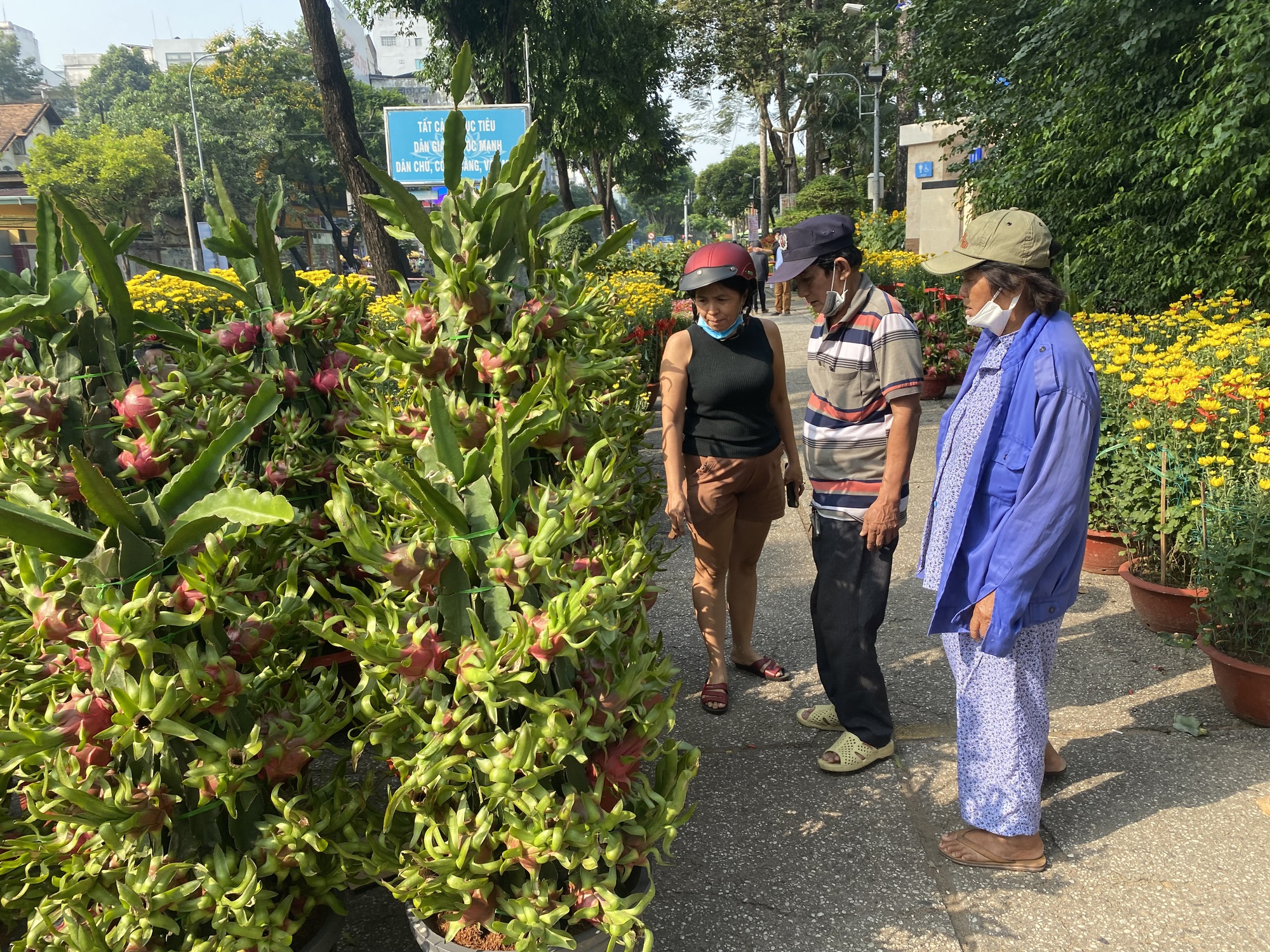 Hoa Tết ở TP HCM giảm gi&aacute; sớm, kh&aacute;ch thu&ecirc; cả xe tải tới mua h&agrave;ng - Ảnh 20.