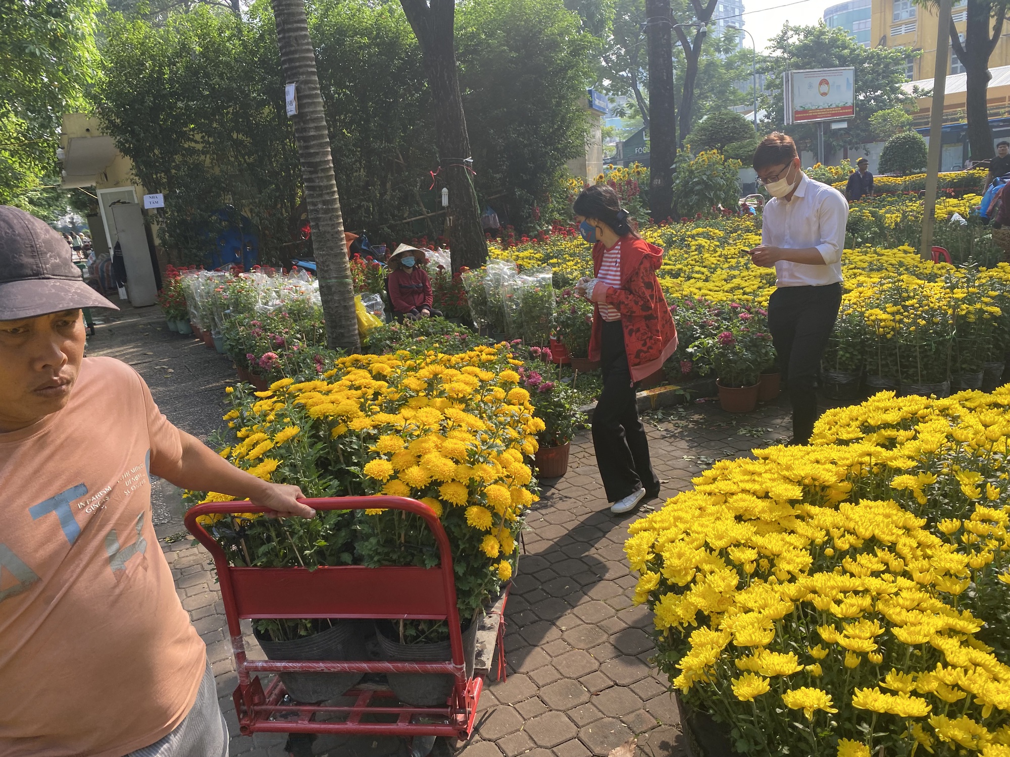 Hoa Tết ở TP HCM giảm gi&aacute; sớm, kh&aacute;ch thu&ecirc; cả xe tải tới mua h&agrave;ng - Ảnh 3.