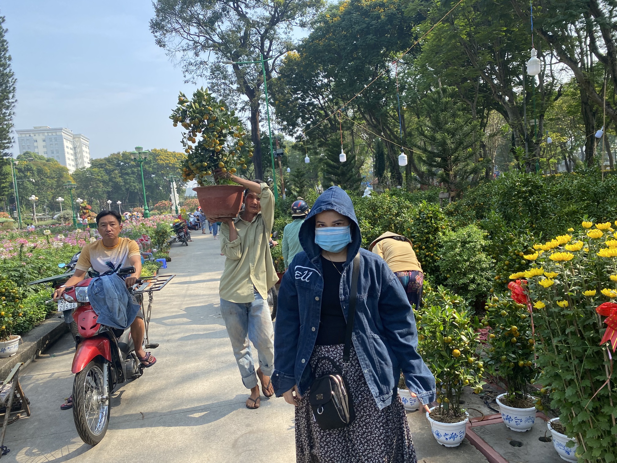 Hoa Tết ở TP HCM giảm gi&aacute; sớm, kh&aacute;ch thu&ecirc; cả xe tải tới mua h&agrave;ng - Ảnh 5.