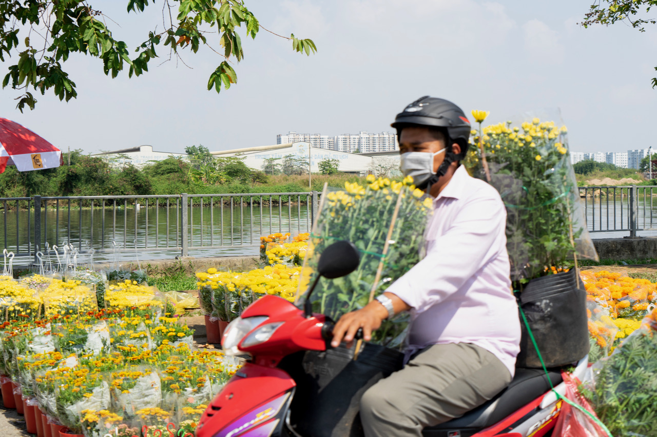 Th&ecirc;m một chợ hoa Tết ở TP HCM mở cửa đ&oacute;n kh&aacute;ch - Ảnh 1.