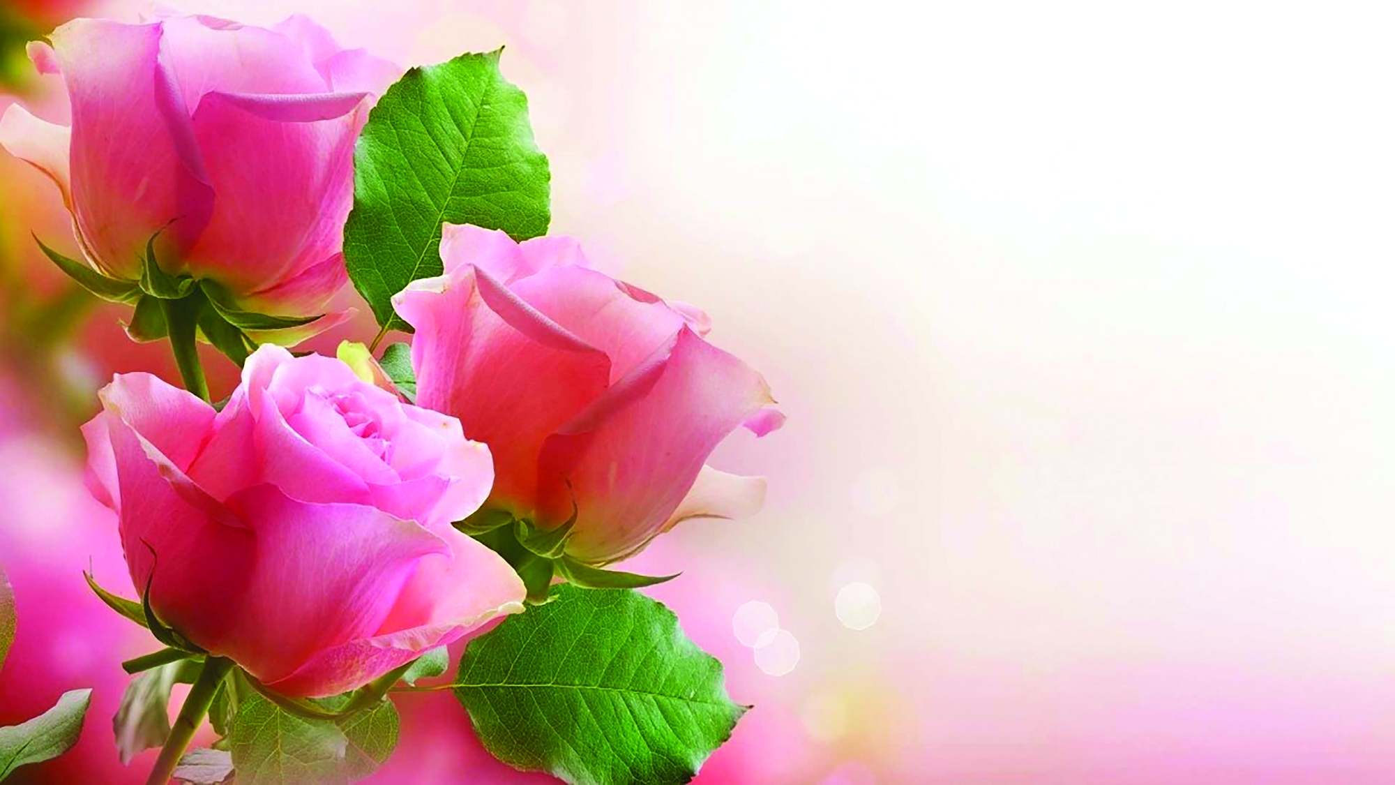Để c&oacute; những m&ugrave;a &ldquo;hoa của đất&rdquo; - Ảnh 1.