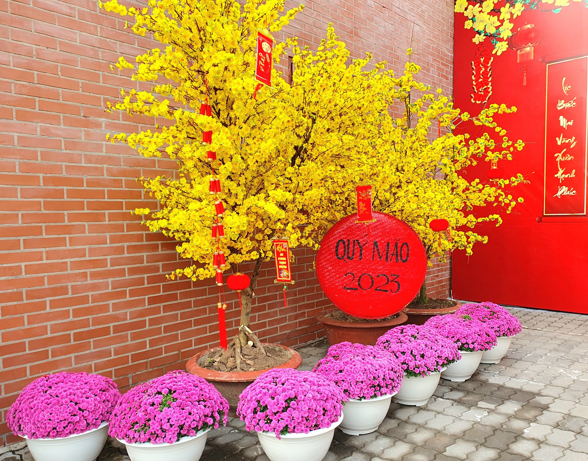 Muôn hoa Tết khoe sắc trên đất Tây Đô - Ảnh 12.
