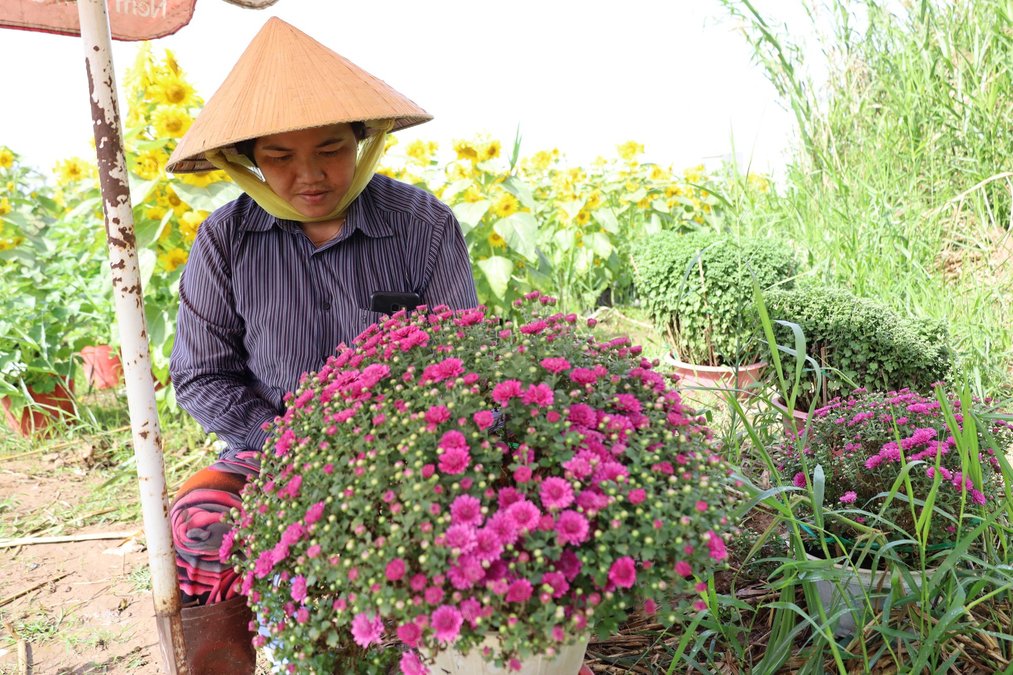 Muôn hoa Tết khoe sắc trên đất Tây Đô - Ảnh 9.