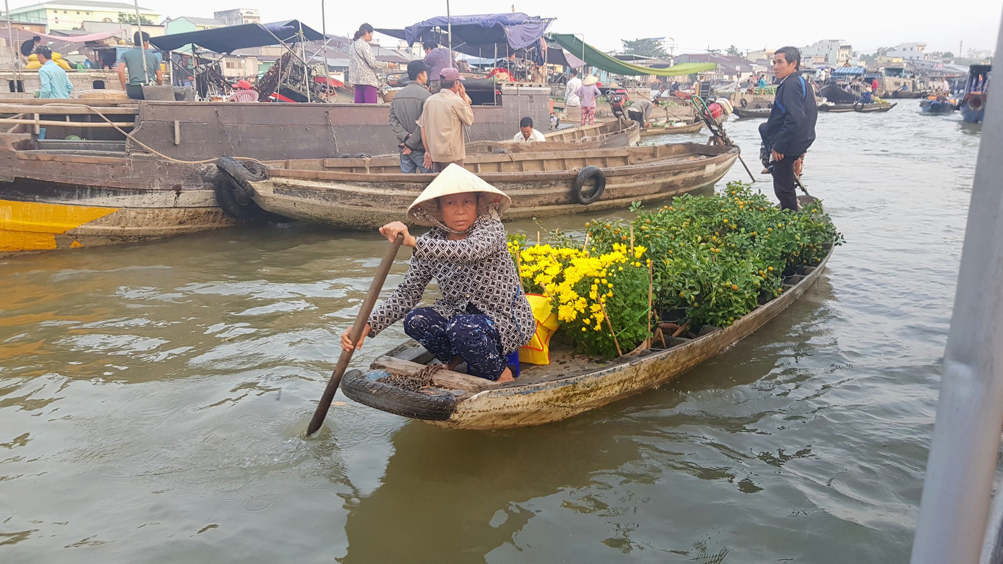 Muôn hoa Tết khoe sắc trên đất Tây Đô - Ảnh 19.