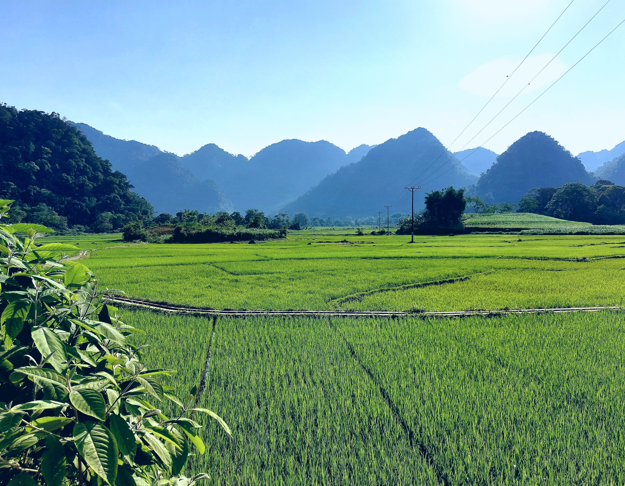 Khám phá Việt Nam với tiến sĩ người Úc - Ảnh 1.