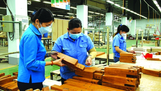 Đưa phúc lợi về nhà máy - Ảnh 1.