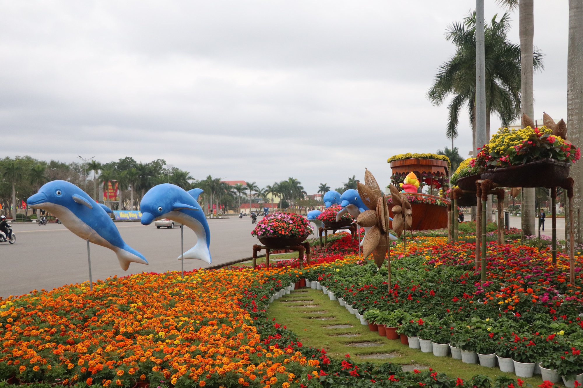 Ngắm Quảng trường Tam Kỳ kho&aacute;c &aacute;o mới rực rỡ sắc hoa ng&agrave;y xu&acirc;n - Ảnh 5.
