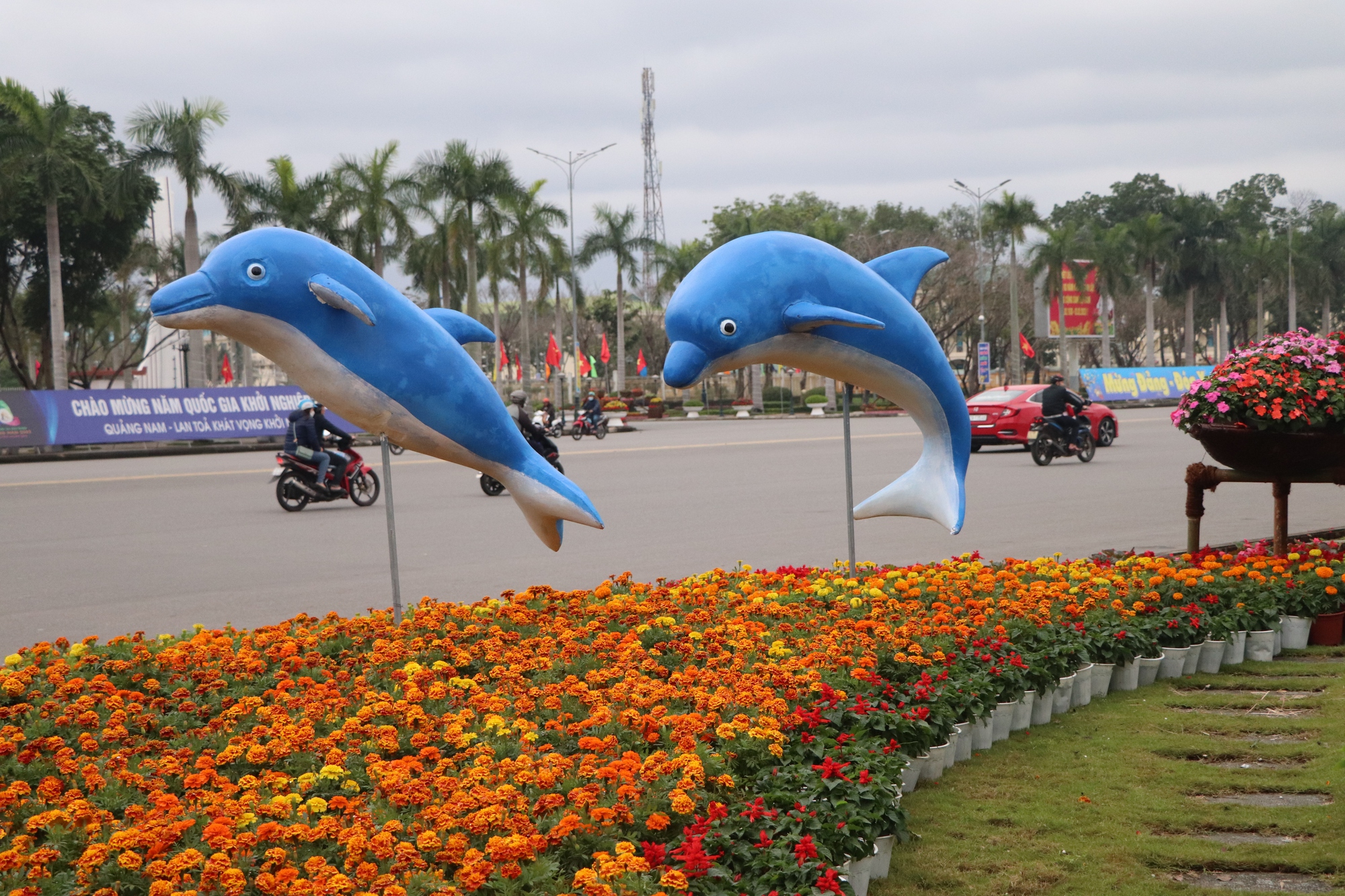 Ngắm Quảng trường Tam Kỳ kho&aacute;c &aacute;o mới rực rỡ sắc hoa ng&agrave;y xu&acirc;n - Ảnh 6.